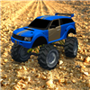 Monster Truck Rally game